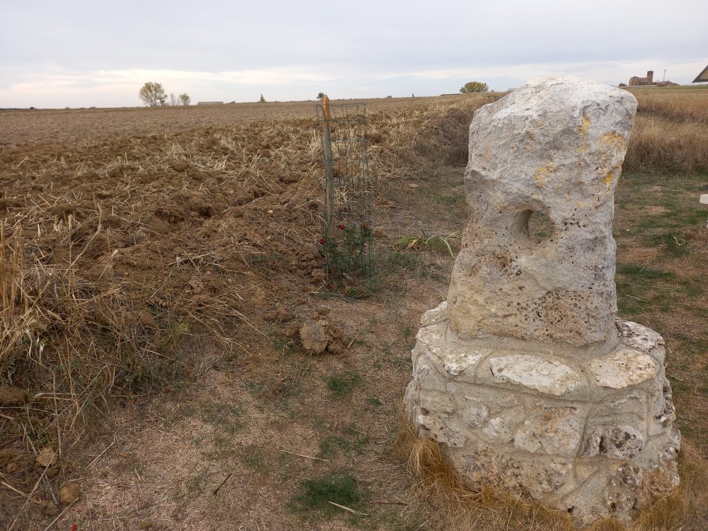 Barahona de las&nbsp;Brujas